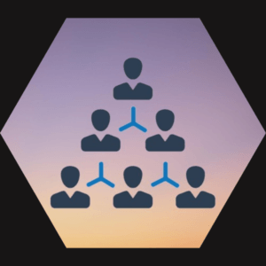 organization design